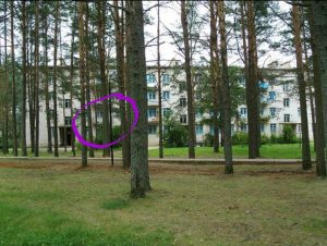 Армия, отпуск — 2 и Баку: дорога, город и память