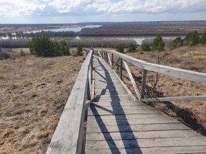 Тюмень и Тобольск. — иллюстрация 18