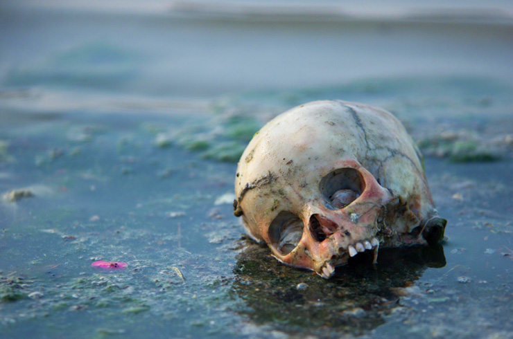 Вода, вода... — иллюстрация 1