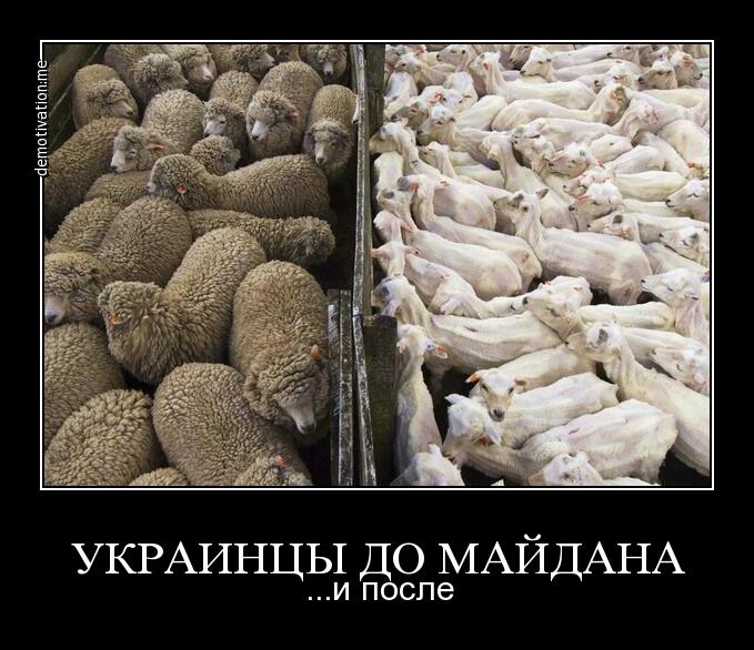 Суверенный или государственный ? — иллюстрация 2